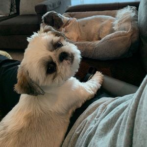 Meet your Posher, Megan